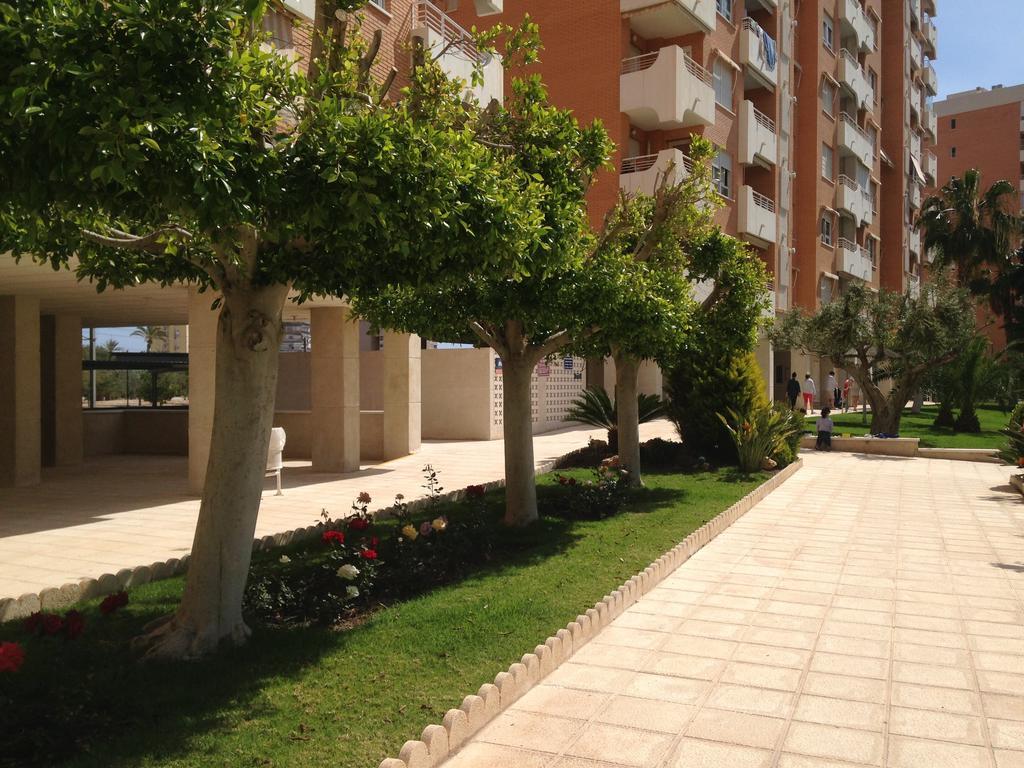 Apartment Playa San Juan Alicante Room photo